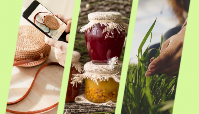 Inova Amazônia investiu 2,6 milhões em aceleração de empresas, valorizando a bioeconomia | ASN Nacional