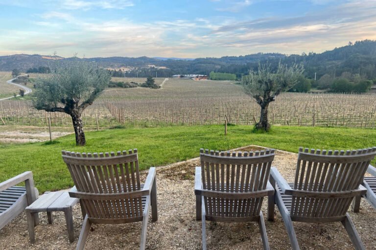 Portugal: Vinhos do Dão e da Beira Interior estão em alta – 07/06/2023 – Turismo