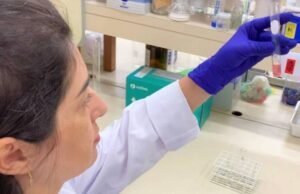 USP cria tecnologia que protege alimentos durante digestão – 13/06/2023 – Equilíbrio e Saúde