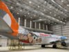 Avião da Mônica: veja fotos do Boeing da Gol tematizado – 17/07/2023 – Turismo
