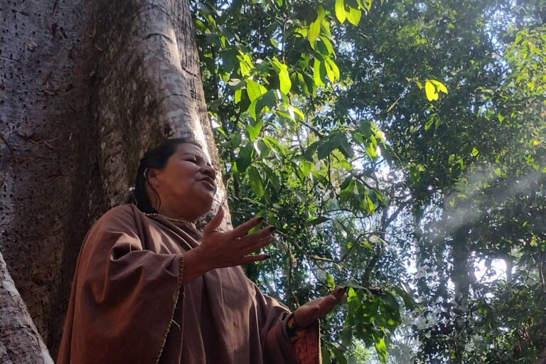 Turismo no rio Croa, no Acre: espiritualidade e ecologia – 05/09/2023 – Turismo