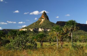 Chapada dos Veadeiros, Jalapão: como e o que visitar – 20/09/2023 – Turismo