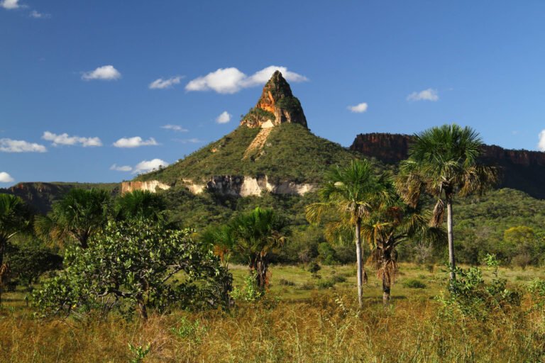 Chapada dos Veadeiros, Jalapão: como e o que visitar – 20/09/2023 – Turismo