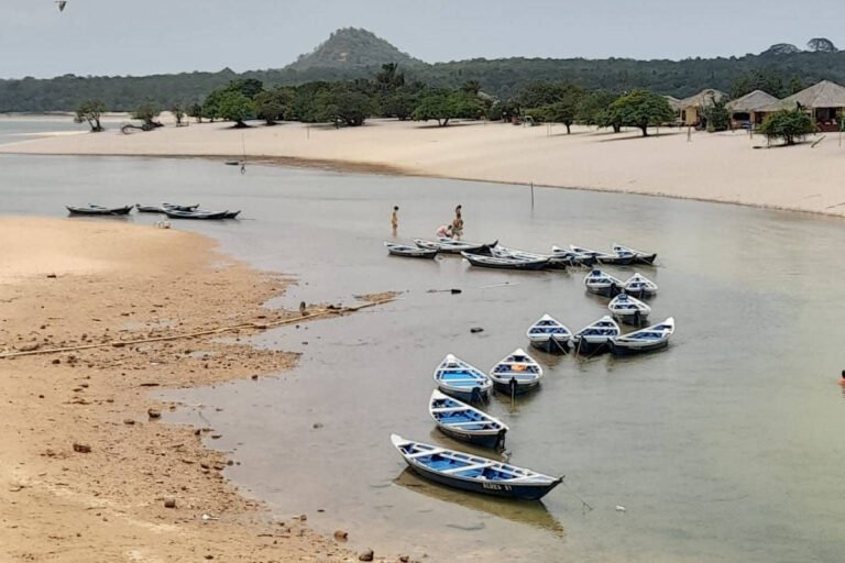 Alter do Chão: Seca muda paisagem do ‘caribe amazônico’ – 03/10/2023 – Ambiente