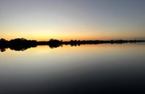 O som de uma canção distante – 11/10/2023 – Zeca Camargo