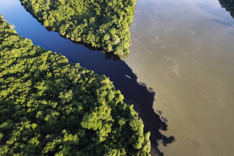 Cristalino: como é o lodge no meio da floresta amazônica – 22/11/2023 – Turismo