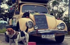 Carioca viaja com cadela em Fusca 74 rumo ao Alasca – 15/11/2023 – Turismo