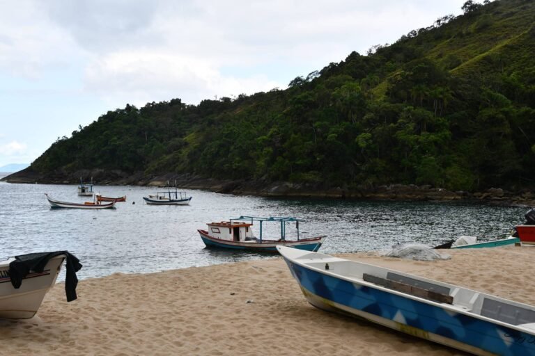 Ilhabela discute construção de resort na praia da Serraria – 02/04/2024 – Ambiente