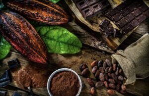 Ciência por trás dos benefícios do cacau para a saúde – 25/07/2024 – Equilíbrio