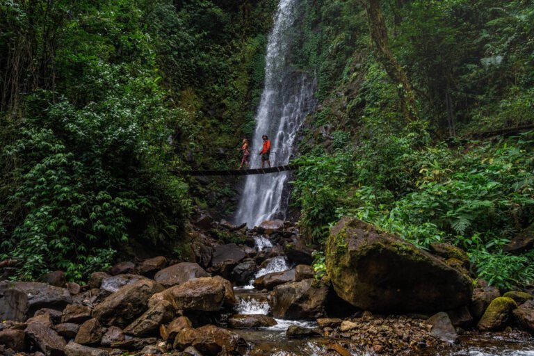 Costa Rica é um parque de diversões para aventureiros – 02/10/2024 – Turismo